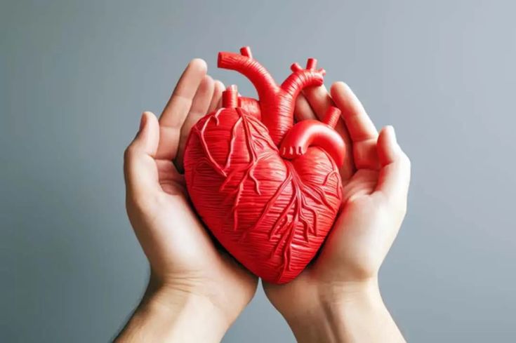 Comprehensive Heart Care